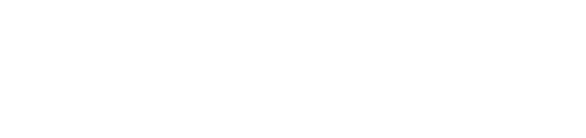 medton-new-logo-final